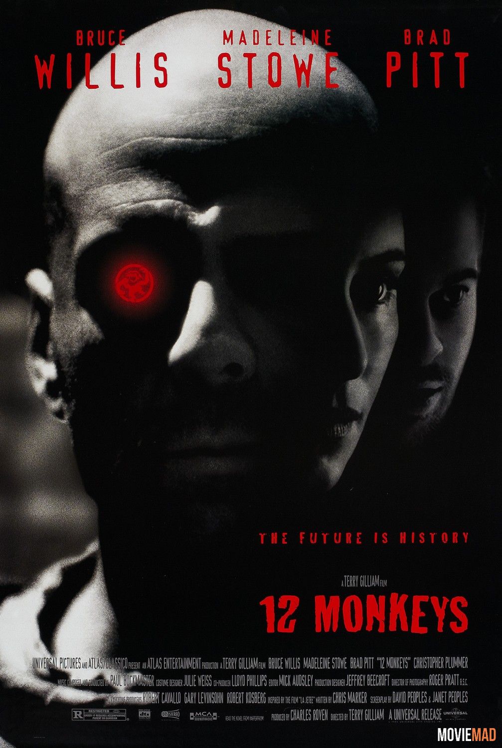 12 Monkeys 1995 Hindi Dubbed BluRay Full Movie 720p 480p