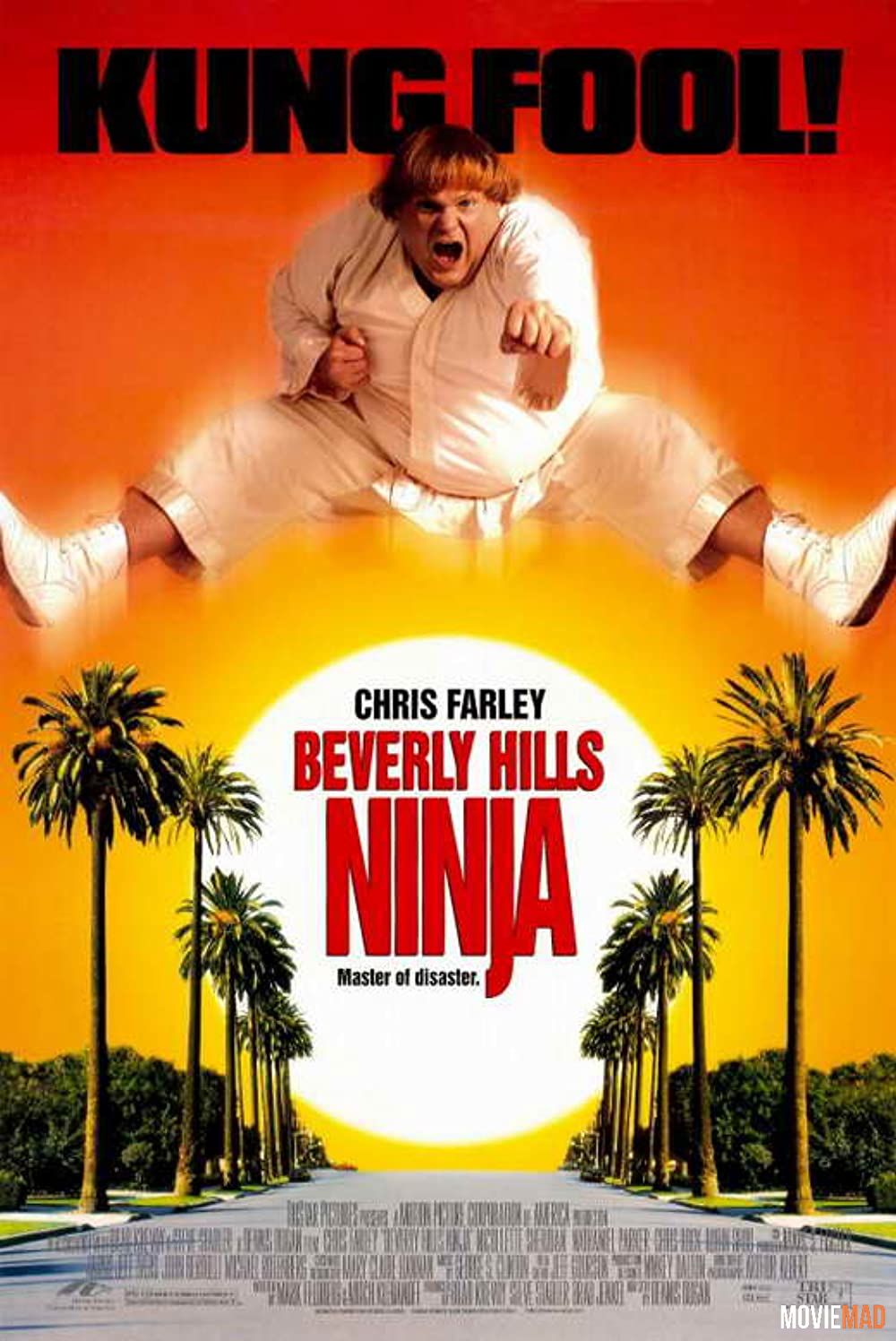 Beverly Hills Ninja (1997) Hindi Dubbed ORG HDRip Full Movie 720p 480p