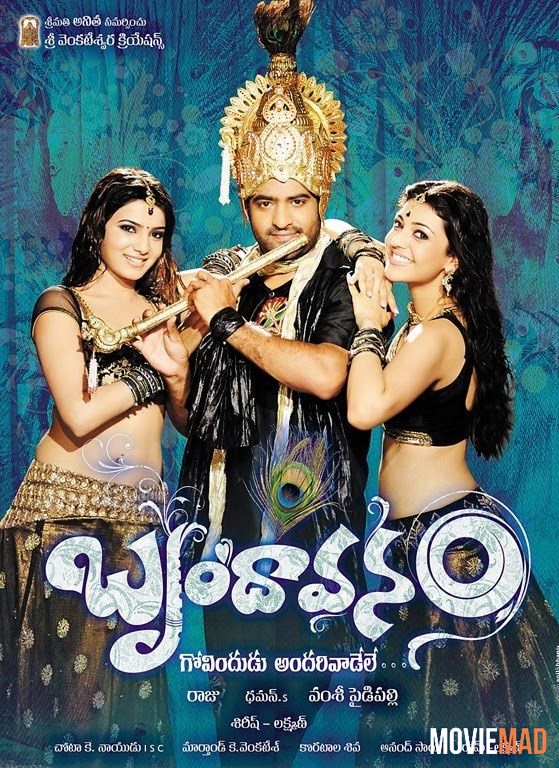 Brindavanam (The Super Khiladi) (2010) UNCUT Hindi Dubbed 480p 720p WEB-HDRip