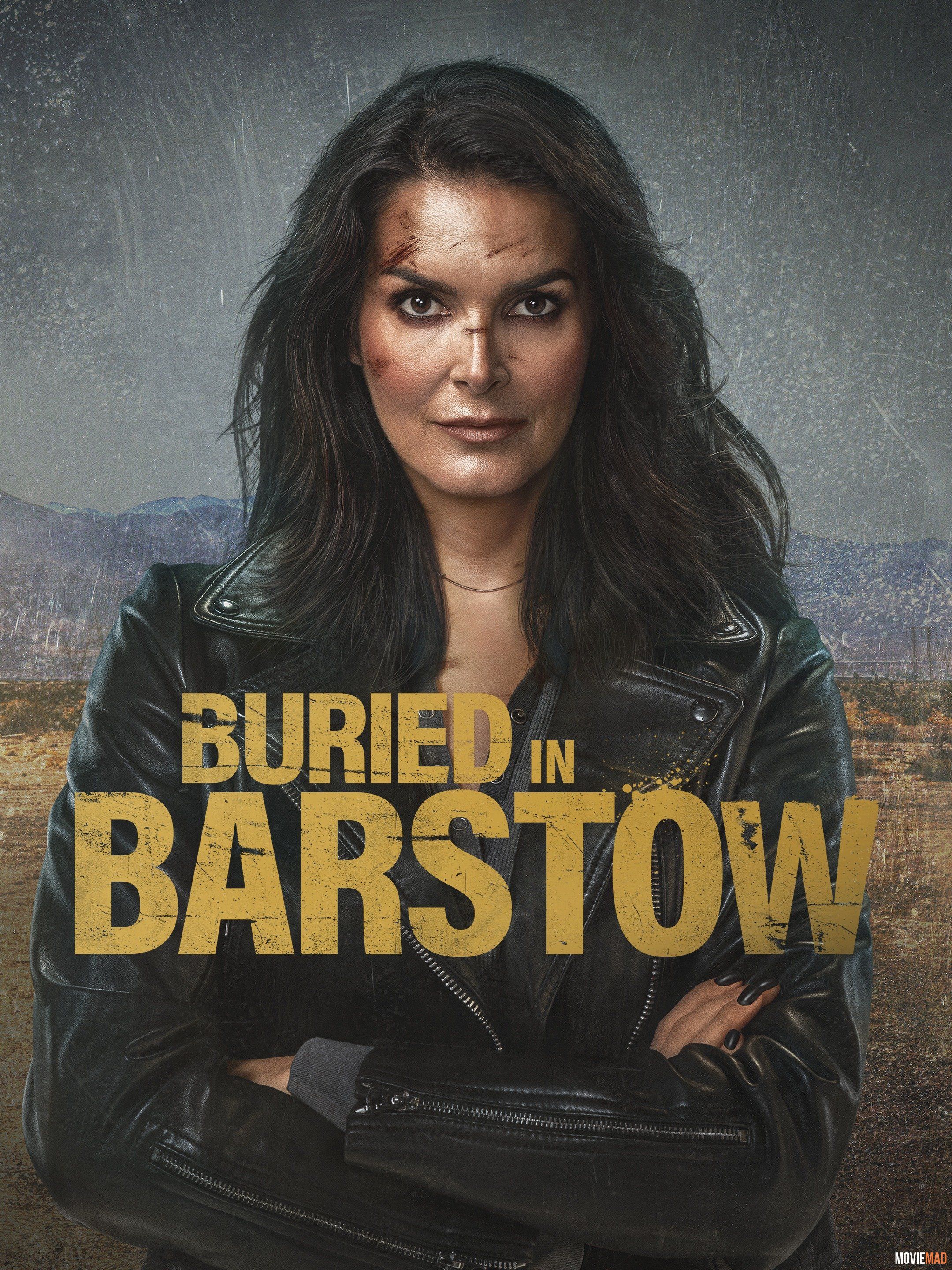 Buried in Barstow 2022 Telegu (Voice Over) Dubbed WEBRip Full Movie 720p 480p