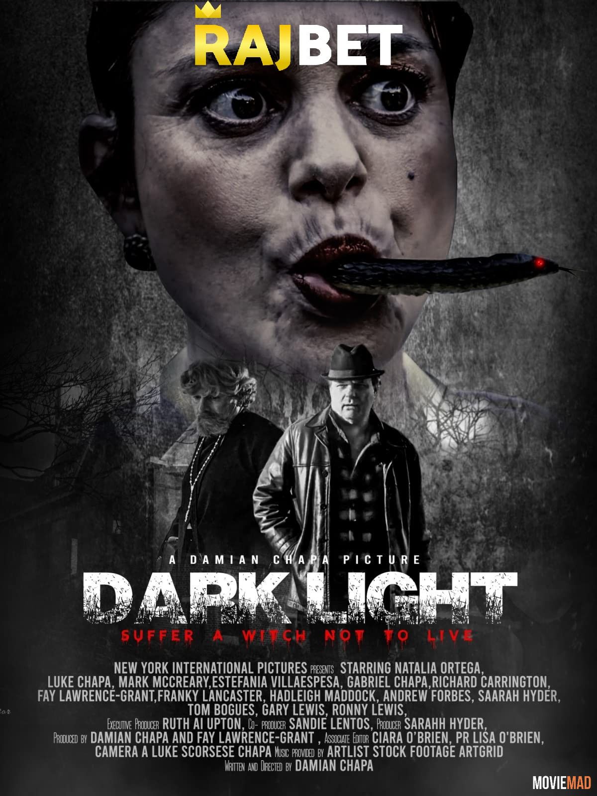 Dark Light 2021 Hindi (Voice Over) Dubbed WEBRip Full Movie 720p 480p