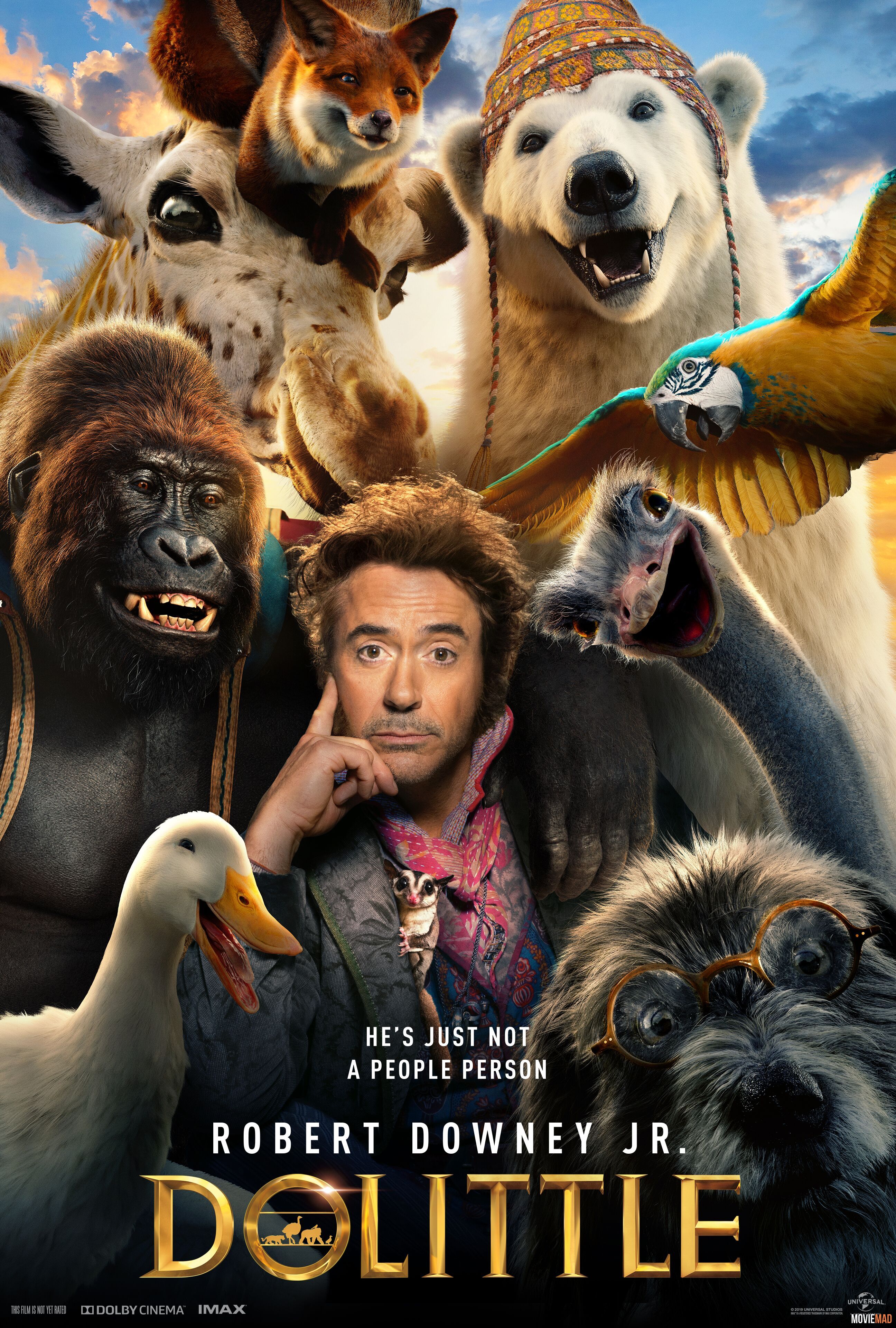 Dolittle 2020 BluRay Dual Audio Hindi DD5.1 720p 480p x265