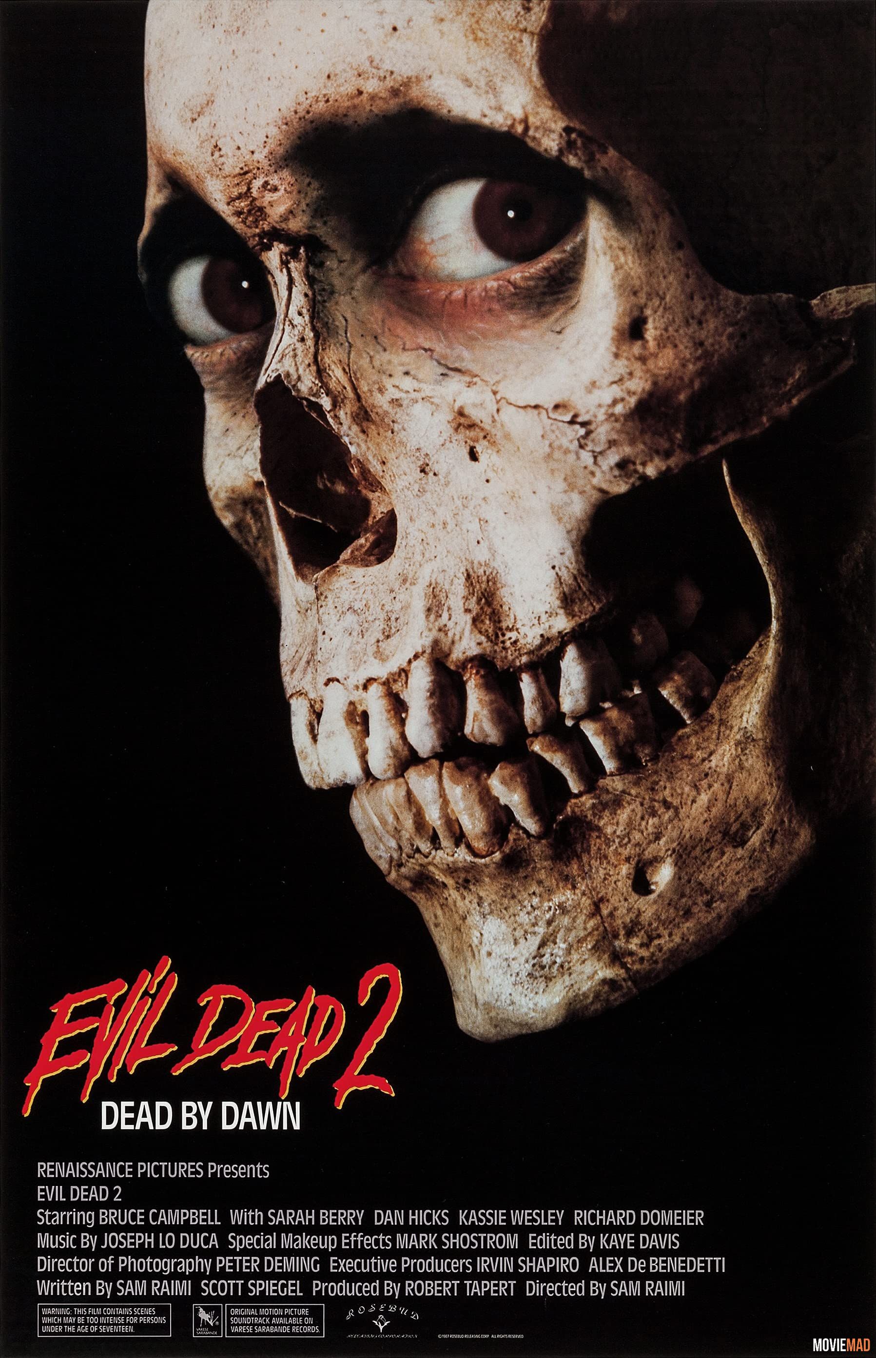 Evil Dead II (1987) Hindi Dubbed ORG HDRip Full Movie 720p 480p