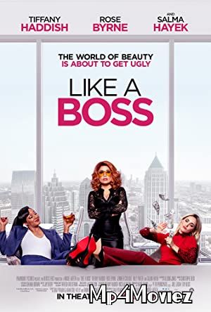 Like A Boss (2020) Dual Audio Hindi BluRay 720p 480p