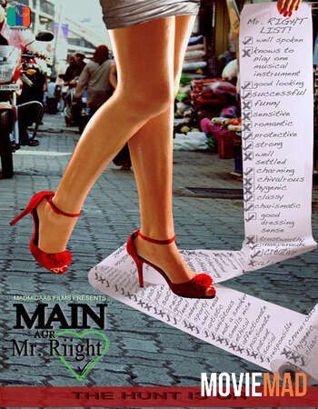 Main Aur Mr. Riight (2014) Hindi BluRay Full Movie 720p 480p