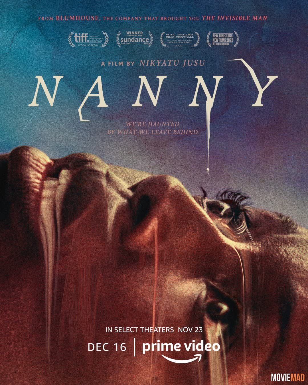 Nanny (2022) Hindi Dubbed ORG AMZN HDRip Full Movie 720p 480p