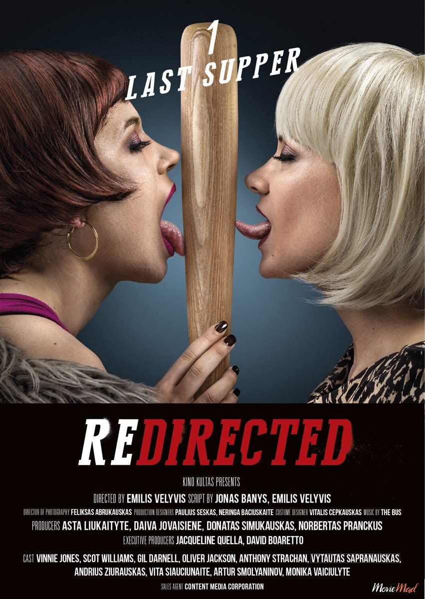 Redirected 2014 UNRATED Dual Audio Hindi 480p BRRip