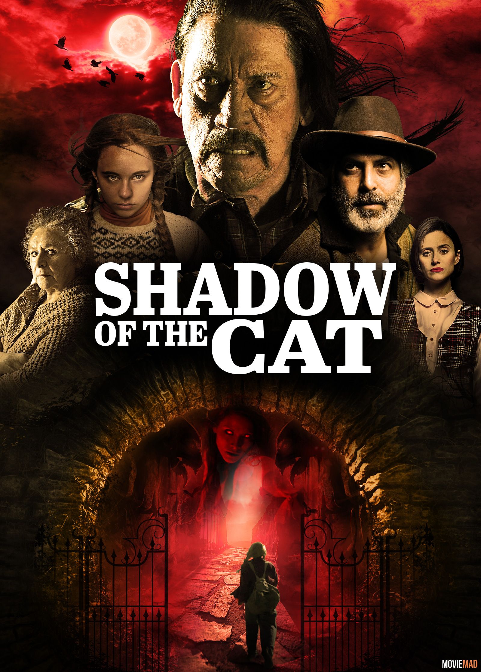 Shadow of the Cat 2021 Telegu (Voice Over) Dubbed WEBRip Full Movie 720p 480p