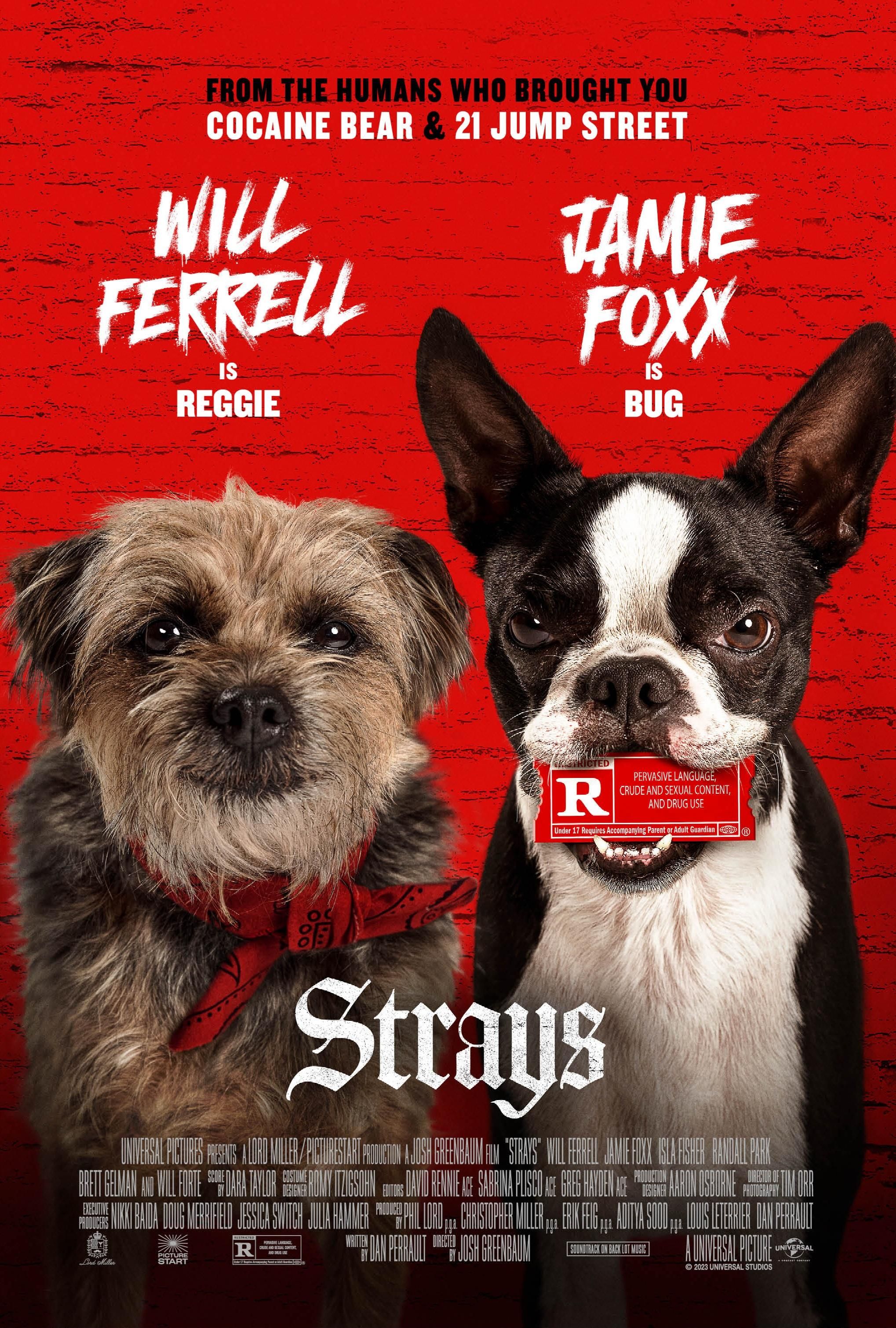 Strays (2023) Hindi Dubbed BluRay