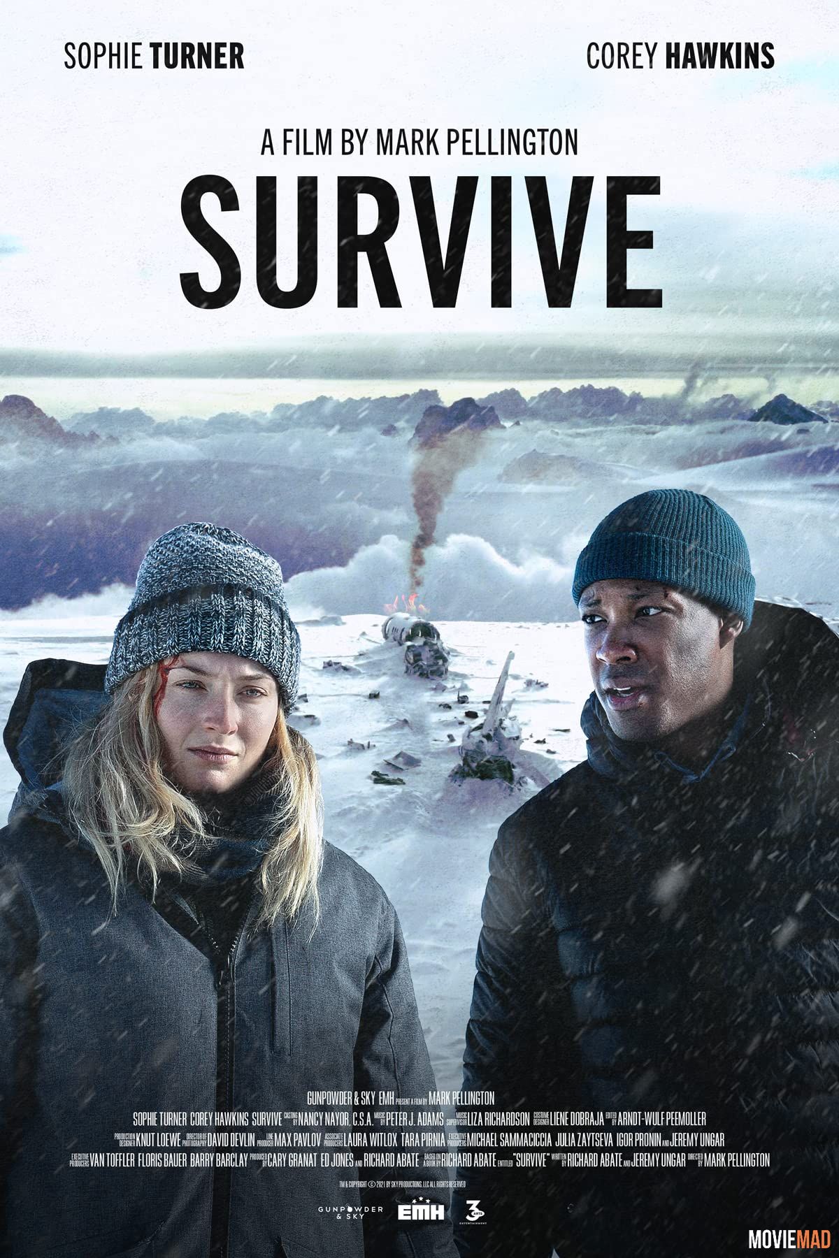 Survive 2022 Telegu (Voice Over) Dubbed WEBRip Full Movie 720p 480p