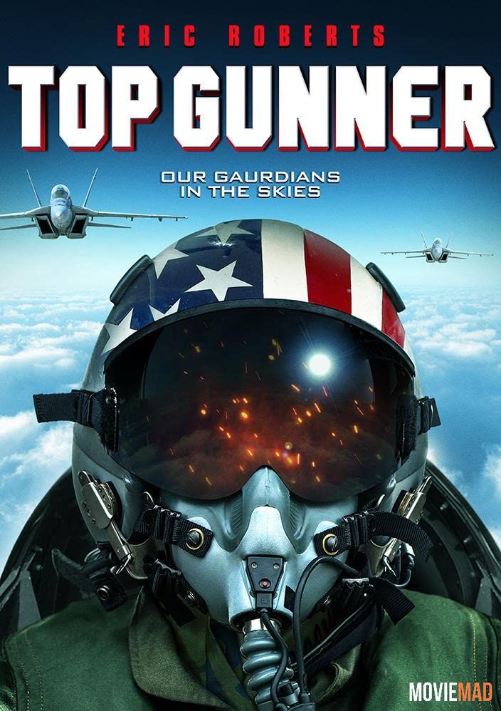 Top Gunner (2020) Hindi Dubbed ORG BluRay Full Movie 1080p 720p 480p