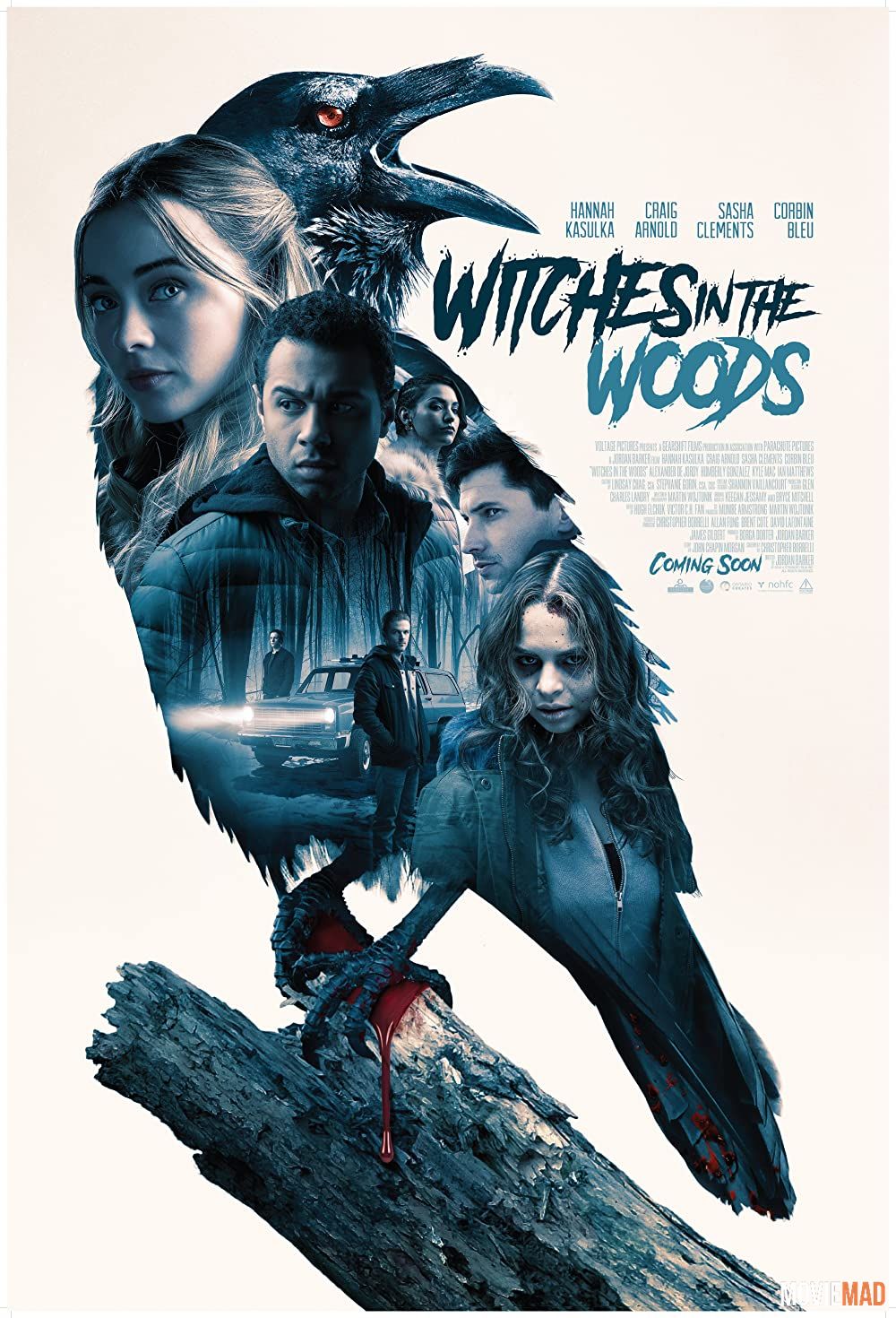 Witches In The Woods 2019 Hindi Dubbed ORG BluRay Full Movie 1080p 720p 480p